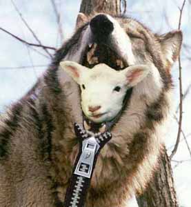 sheep-in-wolfs-clothing.jpeg