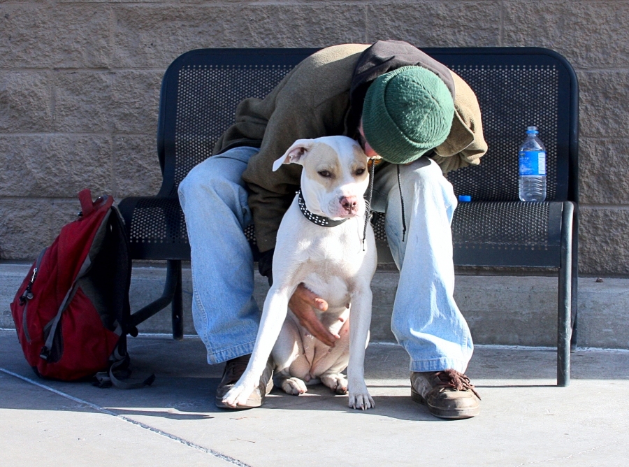 I found this homeless man with his dog, he was ever so gentle and loving with man's best friend. Chris told me his dog, Brandy, was all he had in the world. His last dog was taken away from him by the police because he did not have tags or a ...