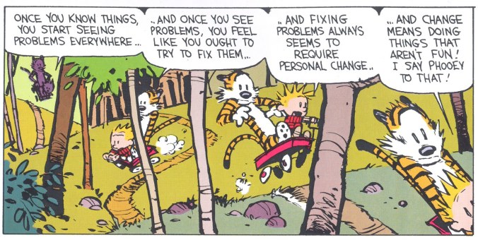 Calvin and Hobbes on Ignorance - Bill Watterson