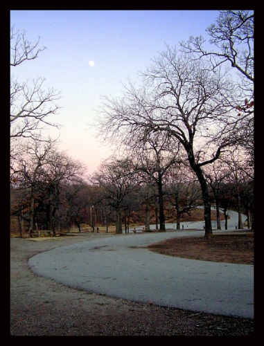 This is an area road at Dripping Springs Lake in Okmulgee, Oklahoma. I love to go here, it is always quiet and many times there are deer.